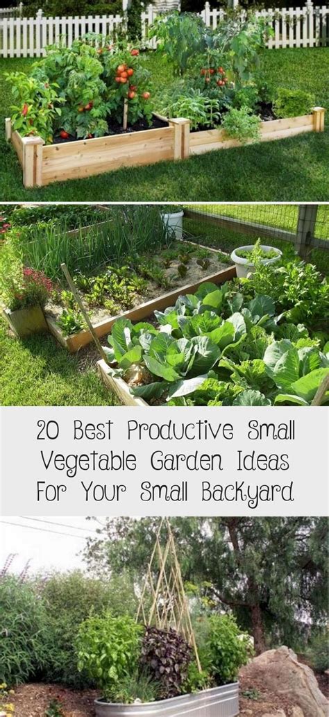 20 Best Productive Small Vegetable Garden Ideas For Your Small Backyard