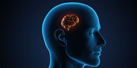 Why Human Brains Are Better At Learning Huffpost