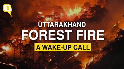 Uttarakhand Forest Fire Extent Of Damage And Why It Is A Cause Of