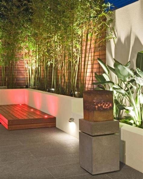 Plantes De Jardin Le Bambou Fascinant Et Polyvalent Contemporary
