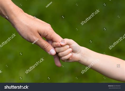 Adult Holding Hand Child Stock Photo 367835951 Shutterstock