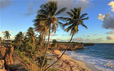 Bottom Bay Beach Barbados Caribbean Beautiful Tropical Scenery