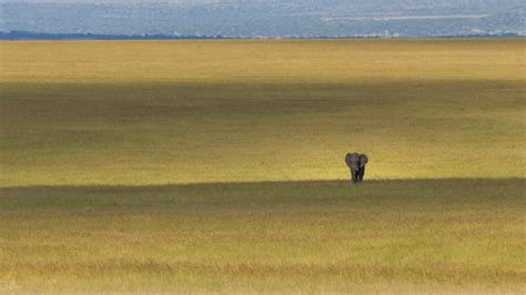 Kenya Wildlife Photography Safari Tour Venture Photography Workshops