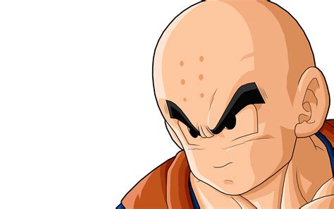 List Of Krillin Moves Dragon Ball Moves Wiki