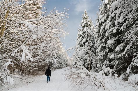 Walk In The Winterly Forest With Lots Of Snow Photograph By Matthias