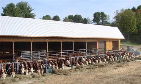 Logic Cattle Barn Cattle Feed Beef Cattle Cattle Farming Goat