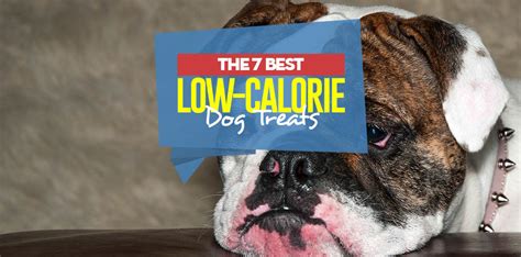 Once you know where to look! Top 7 Best Low Calorie Dog Treats in 2018 (for training or obese dogs)