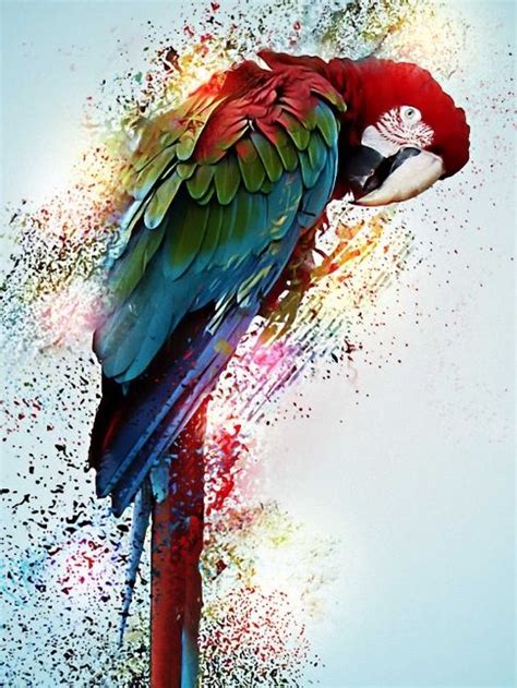 Parrots Bird Paintings On Canvas Parrot Painting Parrots Art