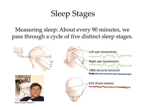 Ppt Sleep Stages Powerpoint Presentation Free Download Id1101719
