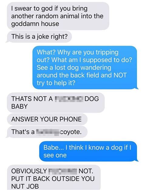 Woman Tells Husband Shes Adopted A Wild Coyote And It