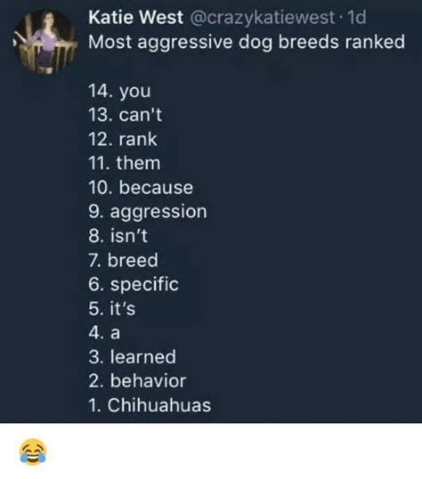 Dangerous Dog Breed Meme Dog Jokes Funny Names For Dogs Aggressive