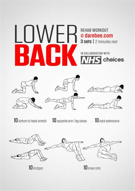 Lower Back Workout Lower Back Exercises Workout Rehab Back Exercises