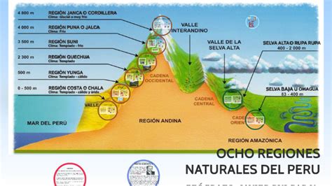Ocho Regiones Naturales Del Peru By Luz Gonzales Vilca