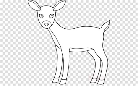 Deer Black And White Png Clipart White Tailed Clip Art Library