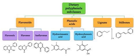 Ijms Free Full Text An Overview On Dietary Polyphenols And Their