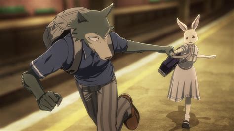 Beastars 08 Star Crossed Anime