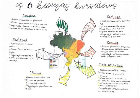 Mapas Mentais Sobre Biomas Brasileiros Study Maps