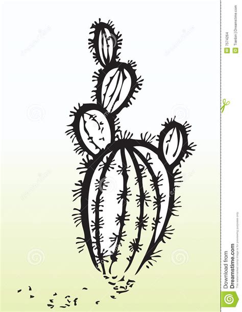 Free and premium collections #cactus #black #and #white #clipart. Cactus Illustration Stock Images - Image: 7574264