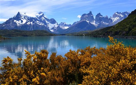 Wallpaper Mountains Trees Lake Autumn Nature Landscape