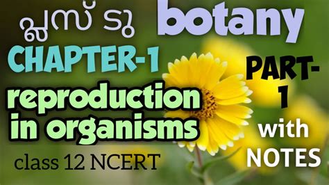 Plus Two Botany Chapter Reproduction In Organisms Explanation With