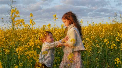 Brother And Sister Hugging In A Field At Sunset Stock Video Footage