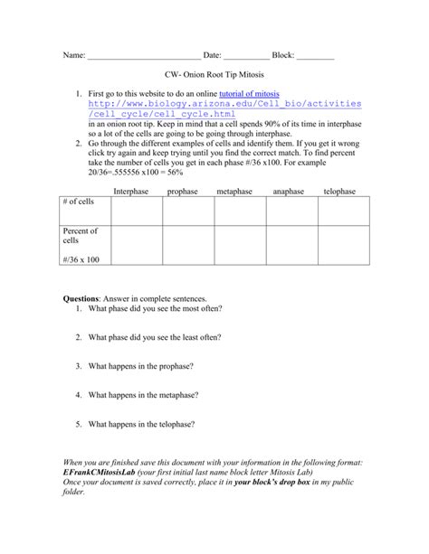 The second step of mitosis is metaphase, the chromosomes 5. 35 Onion Cell Mitosis Worksheet Answers - Worksheet ...