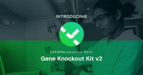 Introducing Gene Knockout Kit V2 The Next Generation Knockout Strategy