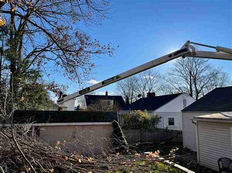 Tree Work With Bucket Truck Kdf Tree Torrington Ct 860 459 8399