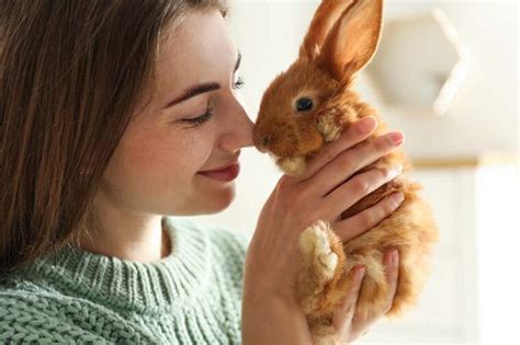 Do Rabbits Recognize Their Name The Answer Is Fascinating Pet Arenas
