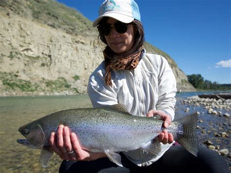 Fly Fishing Albertas Bow River In 2017 Dave Brown Outfitters Fly