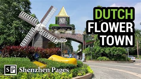 Dutch Flower Town A Charming And Colorful Park In Shenzhen China