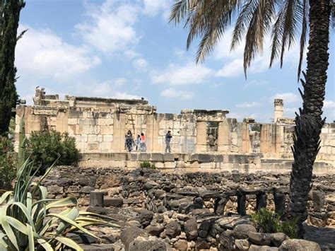 Kfar Nahumwhy Youll Want To Visit Kfar Nahum In 2023 Pink Pangea