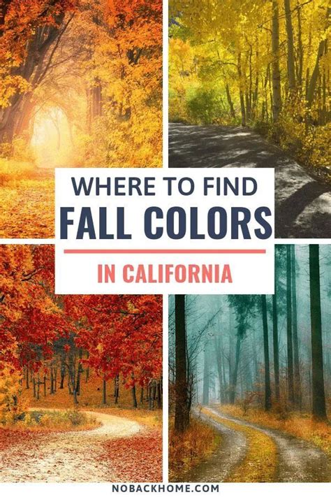 Finding Fall Colors In Bishop California No Back Home Fall Road