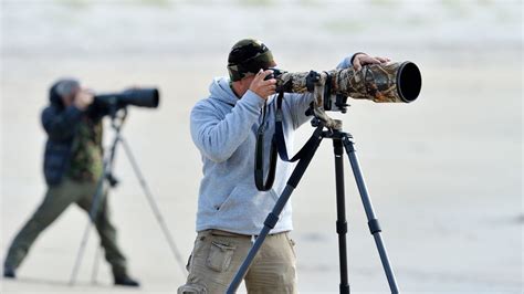 How To Start Wildlife Photography For Beginners