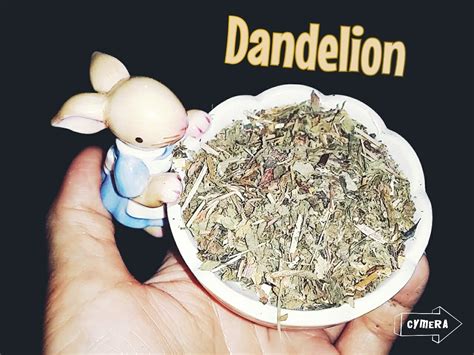 Dandelions are full of vitamins and dandelions. Dried Dandelion