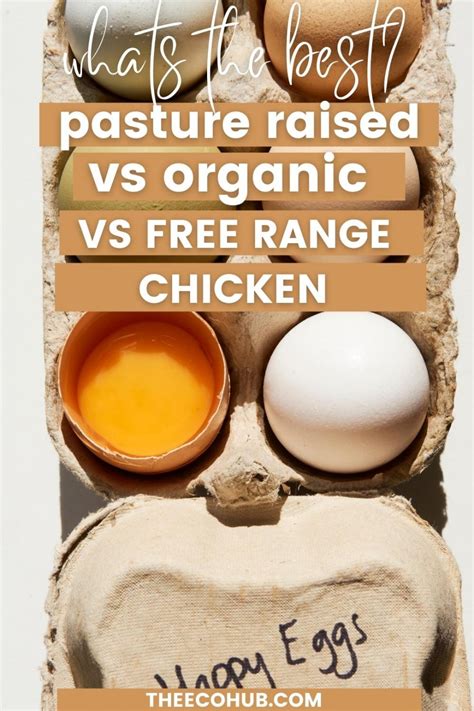 Pasture Raised Vs Organic Vs Free Range Chicken Which Is Best The