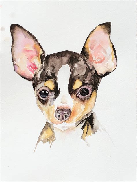Chihuahua Smiling Drawing Pets Lovers