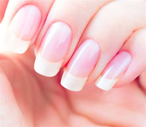 5 Perfect Nail Shapes And How To Achieve Them Livoliv Cosmetics