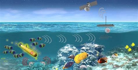 Darpa Is Developing This Sensor System In Baltimore To Detect Undersea