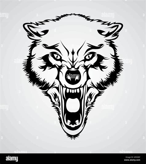 Angry Wolf Head Stock Vector Image And Art Alamy