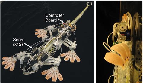 Left Stickybot A New Bio Inspired Robot Capable Of Climbing Smooth