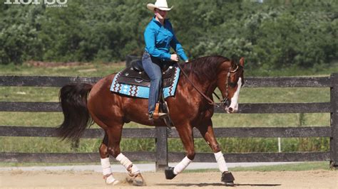 Western Horse Riding Lessons