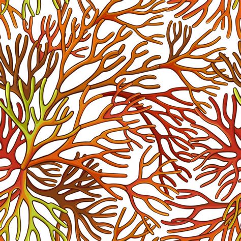 Sea Moss Illustrations Illustrations Royalty Free Vector Graphics