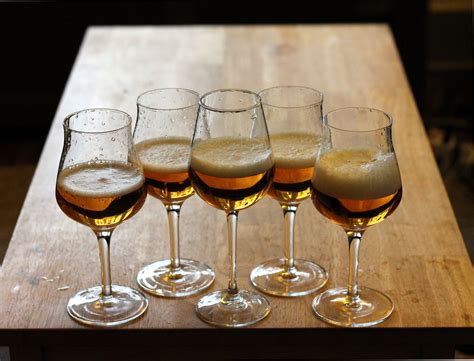 Honey Sour Beer Tasting The Mad Fermentationist Homebrewing Blog