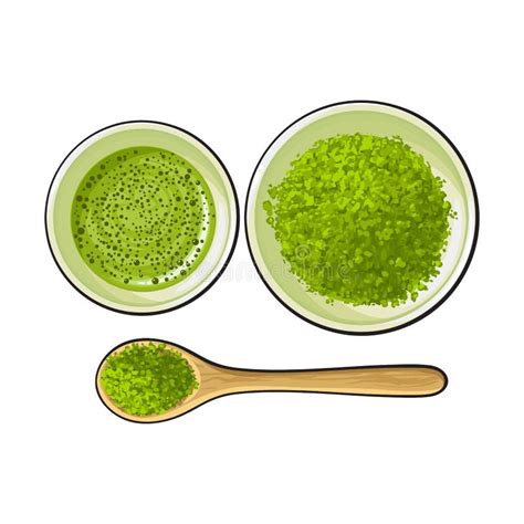 Bowl And Bamboo Spoon Of Matcha Powder Green Tea Cup Stock Vector