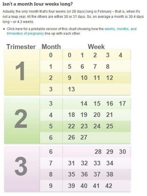 February has exactly 4 weeks, except in a leap year it has 4 weeks and 1 day. Uteral Meditations: 25 weeks, 0 days - How pregnant am I?