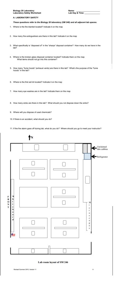 List 3 unsafe activities shown in the illustration and explain why each is unsafe. Lab Safety Worksheet Answers | db-excel.com