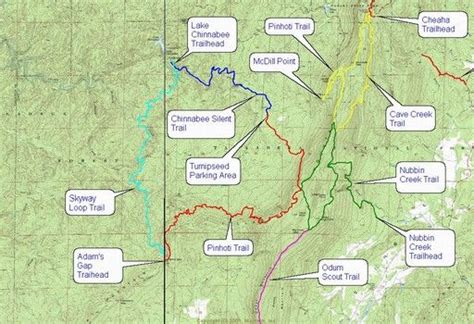 Seven Top Trails In The Talladega National Forest Talladega National