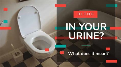 Blood In Your Urine What Does It Mean Walkin Lab