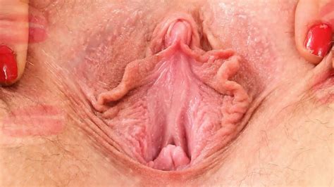 Female Textures Morphing Hd P Vagina Close Up Free Download